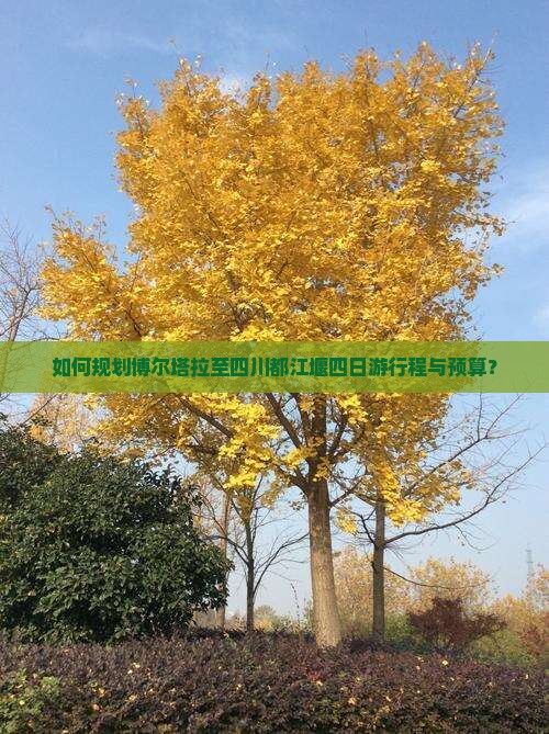 如何规划博尔塔拉至四川都江堰四日游行程与预算？
