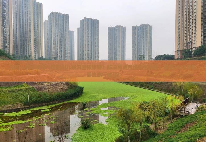 如何从衡水策划一场四川九寨沟团体旅游？解决高费用和安全顾虑，享受2023年新潮流旅行体验！
