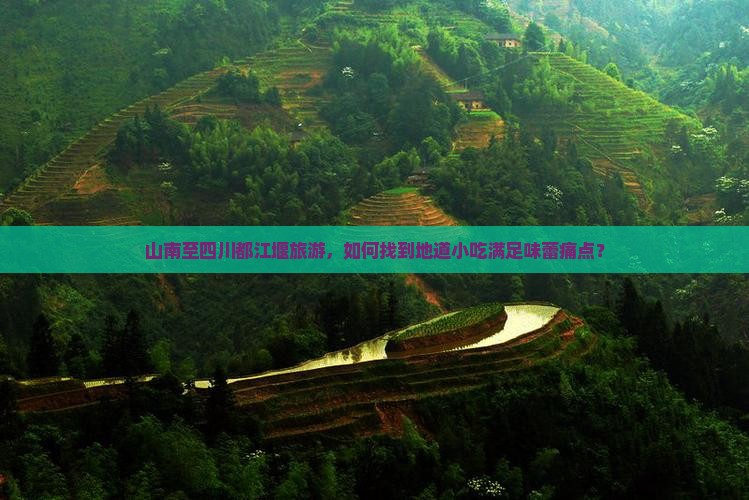 山南至四川都江堰旅游，如何找到地道小吃满足味蕾痛点？