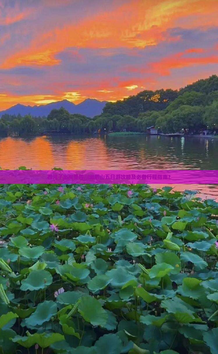 石河子出发至四川峨眉山五日游攻略及必备行程指南? 石河子出发至四川峨眉山五日游攻略及必备行程指南?