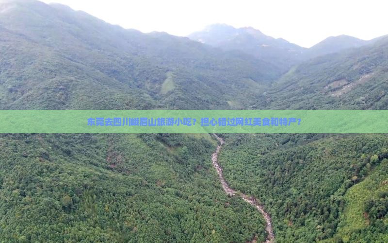 东莞去四川峨眉山旅游小吃?担心错过网红美食和特产? 东莞去四川峨眉山旅游小吃?担心错过网红美食和特产?
