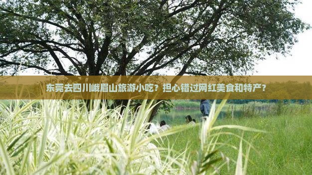 东莞去四川峨眉山旅游小吃?担心错过网红美食和特产? 东莞去四川峨眉山旅游小吃?担心错过网红美食和特产?