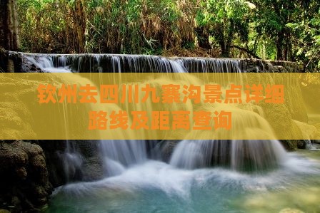 钦州去四川九寨沟景点详细路线及距离查询