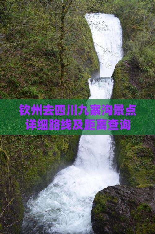 钦州去四川九寨沟景点详细路线及距离查询