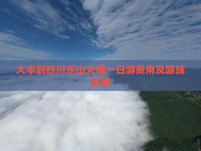 大丰到四川乐山大佛一日游费用及路线攻略