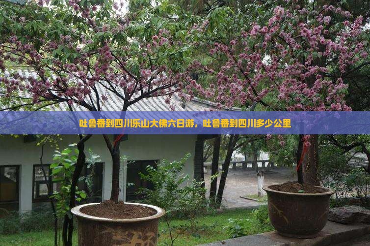 吐鲁番到四川乐山大佛六日游，吐鲁番到四川多少公里