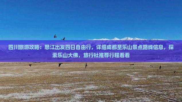 四川旅游攻略：怒江出发四日自由行，详细成都至乐山景点路线信息，探索乐山大佛，旅行社推荐行程看看
