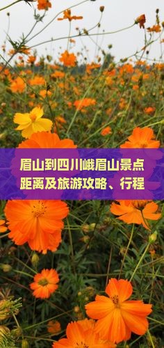 眉山到四川峨眉山景点距离及旅游攻略、行程时间指南