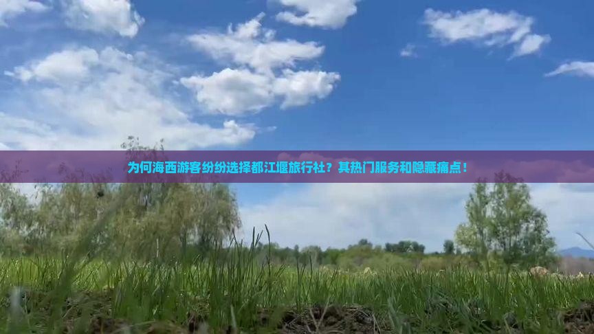 为何海西游客纷纷选择都江堰旅行社？其热门服务和隐藏痛点！