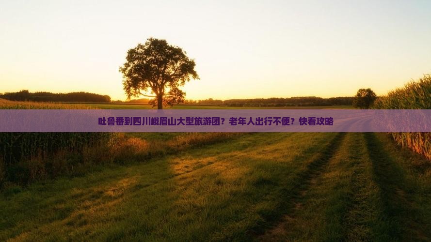 吐鲁番到四川峨眉山大型旅游团？老年人出行不便？快看攻略