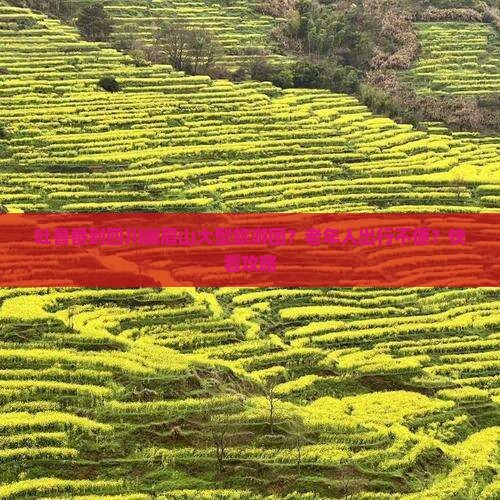 吐鲁番到四川峨眉山大型旅游团？老年人出行不便？快看攻略