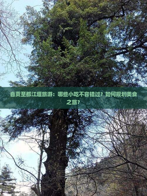 自贡至都江堰旅游：哪些小吃不容错过？如何规划美食之旅？