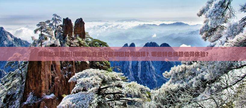 阜新出发至四川峨眉山自由行旅游团如何选择？哪些特色线路值得体验？