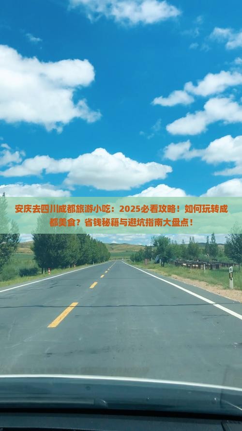 安庆去四川成都旅游小吃