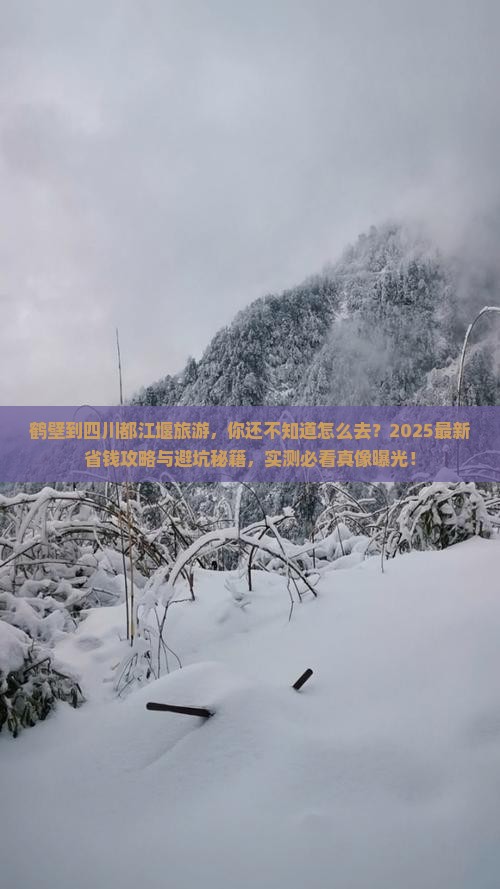 鹤壁到四川都江堰旅游