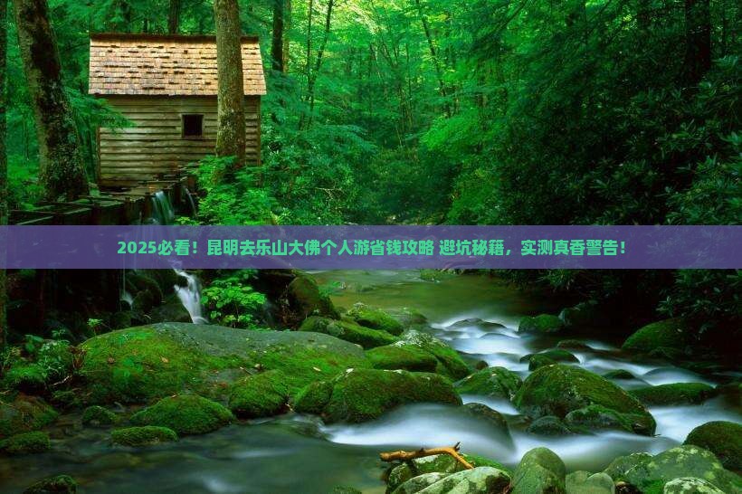 昆明去四川乐山大佛个人游