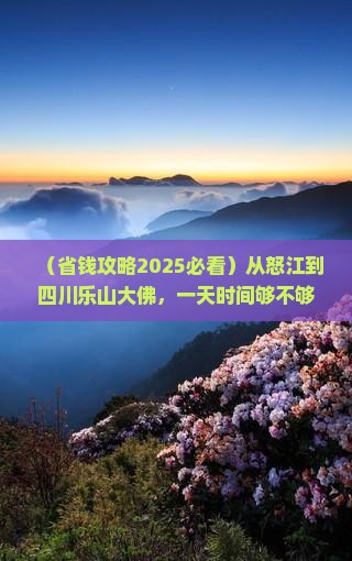 怒江去四川乐山大佛一日