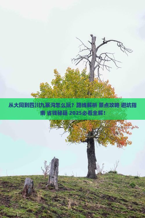 大同到四川九寨沟哪里玩