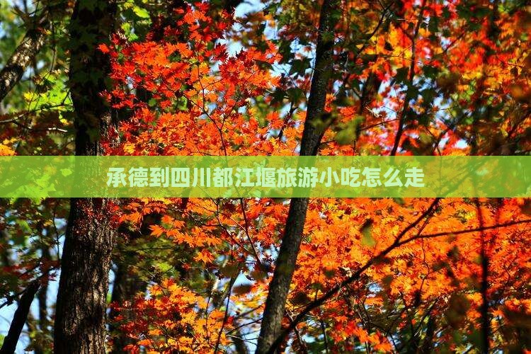 承德到四川都江堰旅游小吃