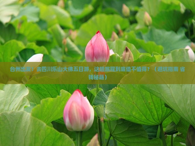 台州去四川乐山大佛五日游