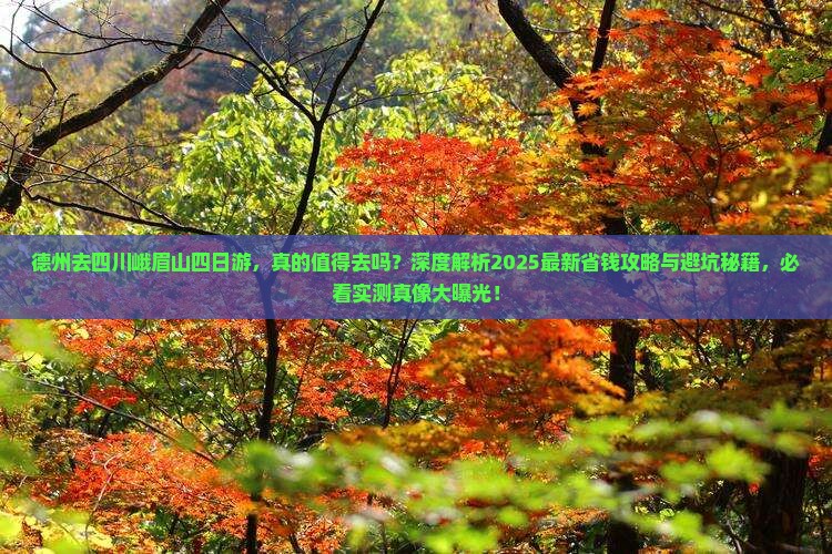 德州去四川峨眉山四日游