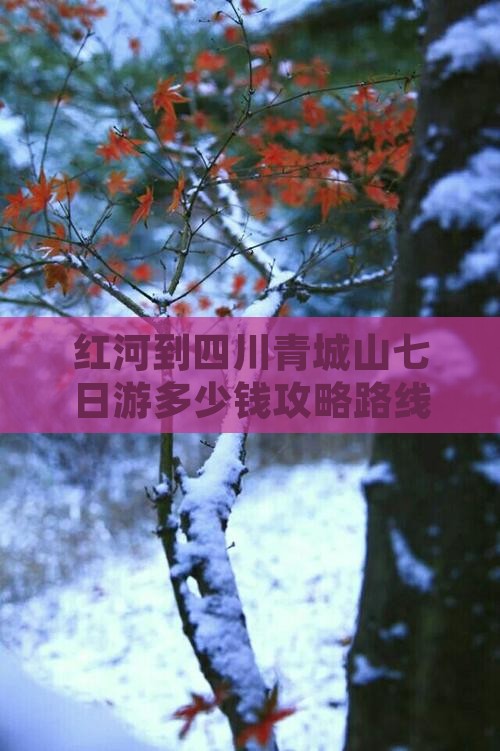 红河到四川青城山七日游