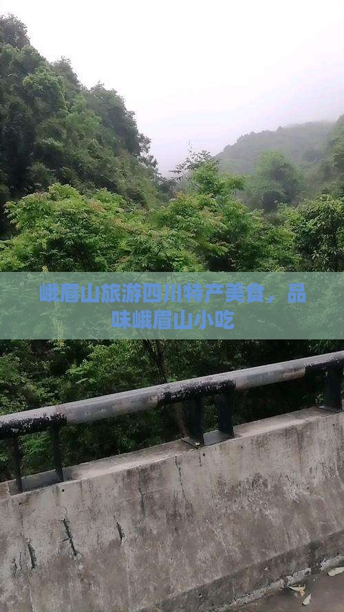 扬州到四川峨眉山旅游小吃