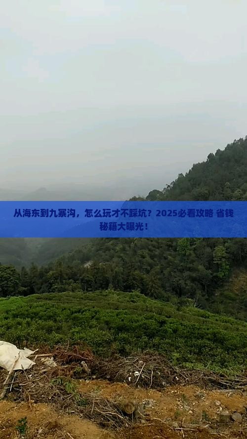 海东到四川九寨沟景点
