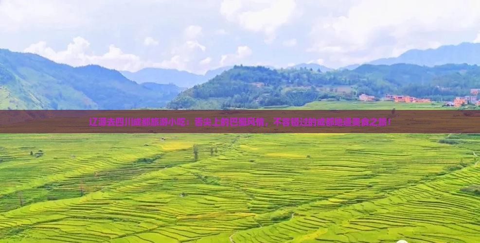 辽源去四川成都旅游小吃