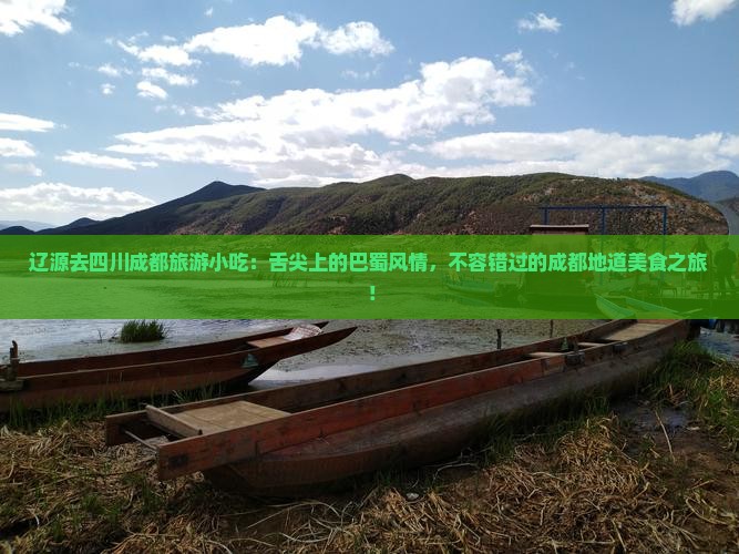 辽源去四川成都旅游小吃