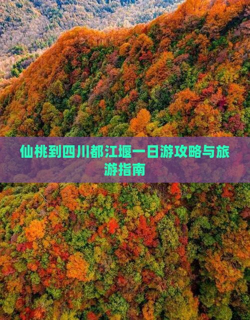 仙桃到四川都江堰一日