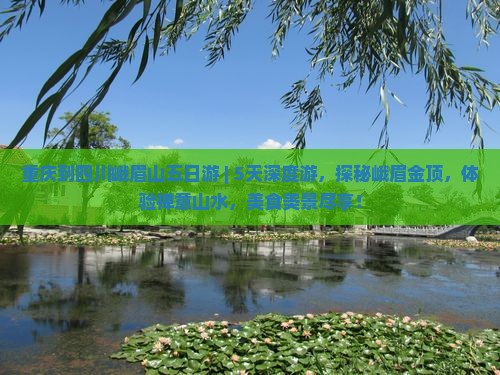 重庆到四川峨眉山五日游