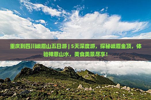重庆到四川峨眉山五日游