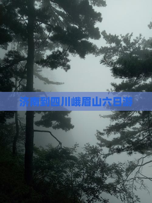 济南到四川峨眉山六日游