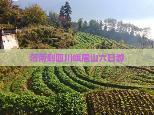 济南到四川峨眉山六日游