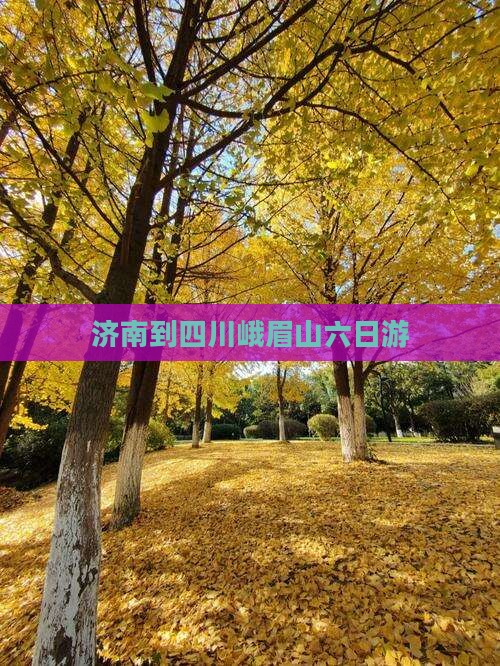 济南到四川峨眉山六日游