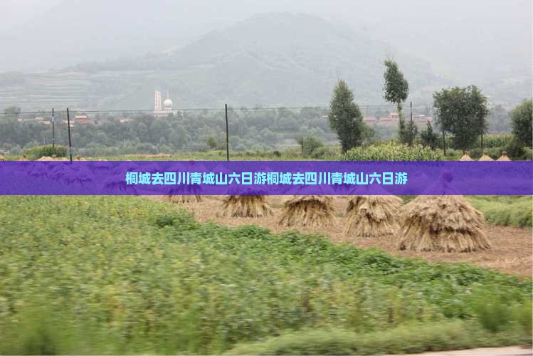 桐城去四川青城山六日游
