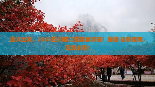 遵义去四川都江堰旅游小吃