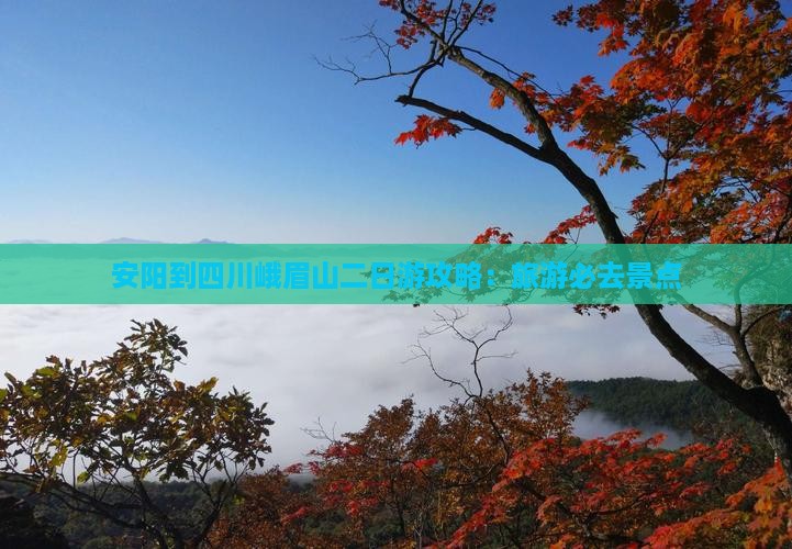 安阳到四川峨眉山二日游
