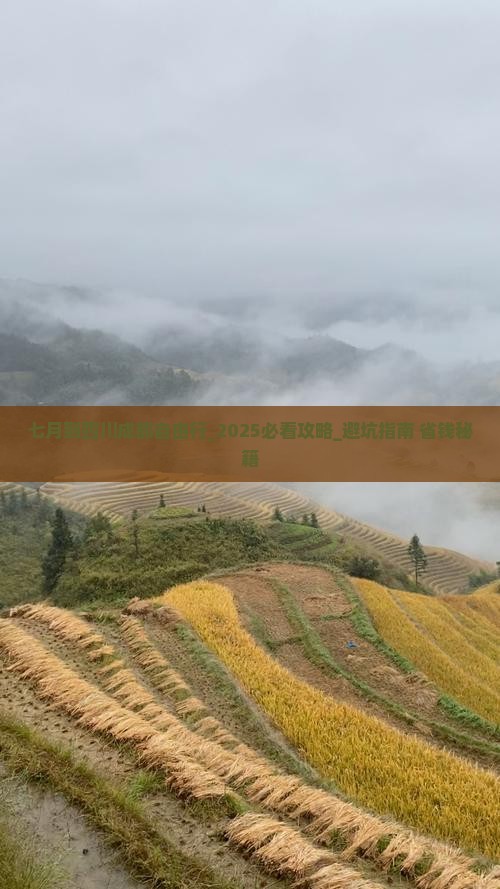 七月到四川成都自由行