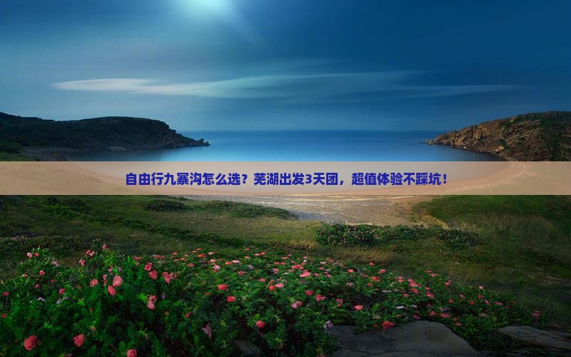 芜湖到四川九寨沟自由团