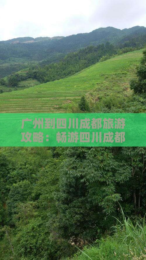 广州到四川成都旅游
