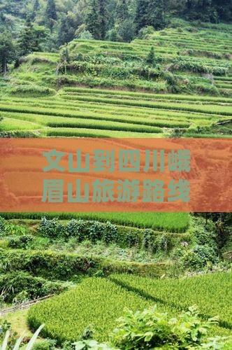 文山到四川峨眉山旅游