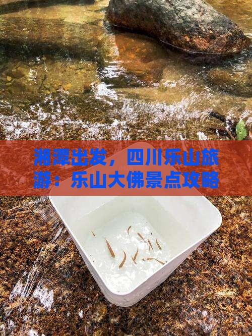 湘潭去四川乐山大佛景点