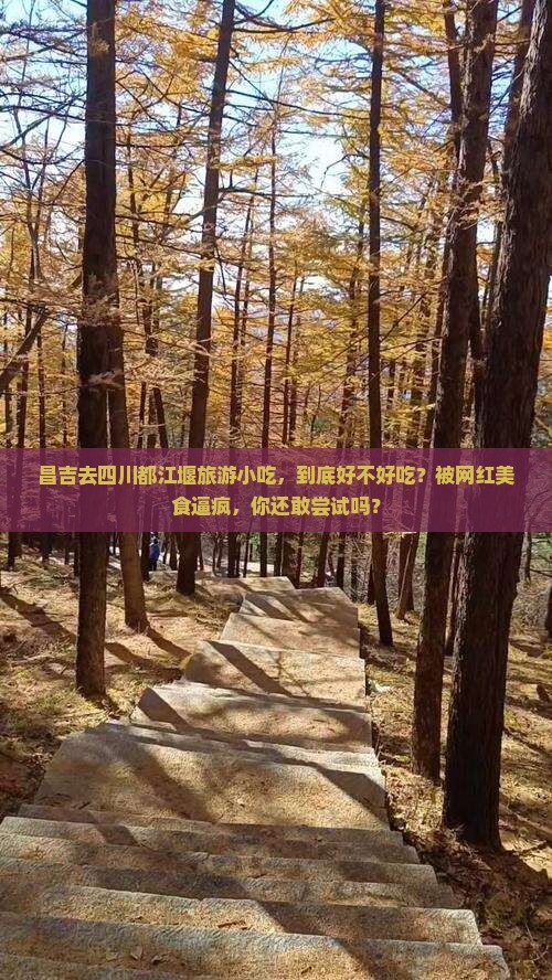 昌吉去四川都江堰旅游小吃