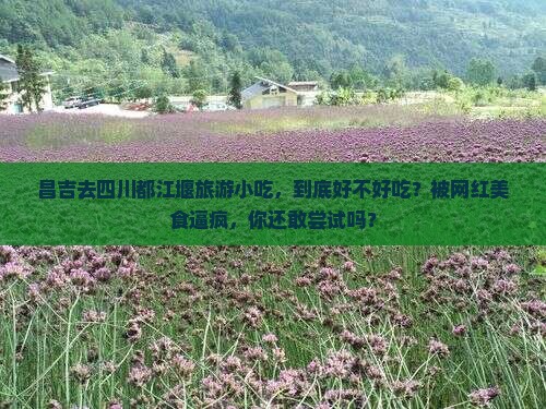 昌吉去四川都江堰旅游小吃