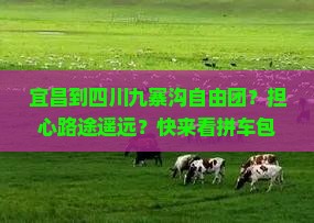 宜昌到四川九寨沟自由团