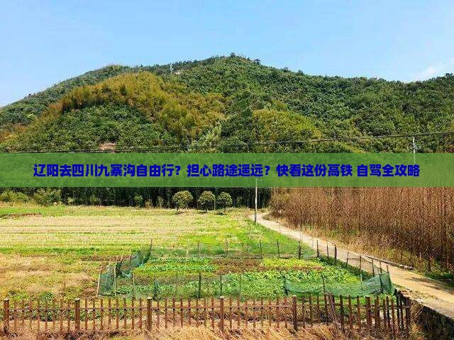 辽阳去四川九寨沟自由行