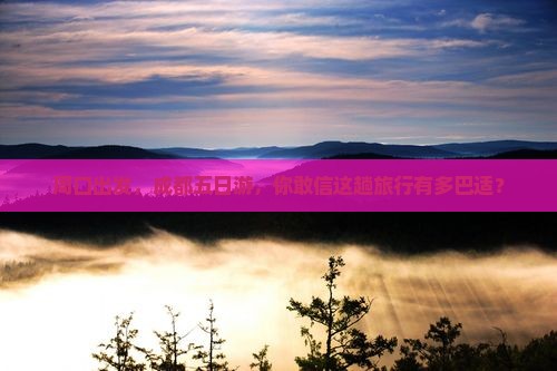周口到四川成都五日游