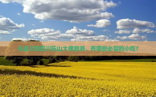 遵义到四川乐山大佛旅游小吃